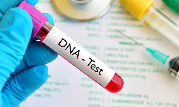 Child will be stigmatised, branded bastard if DNA test not allowed despite proof of cohabitation between man and woman: Kerala High Court